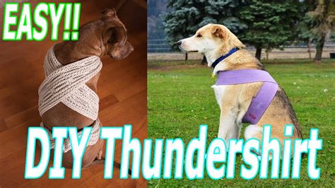 How To Make A Thundershirt For A Dog DIY Thundershirt: How to Make a Dog Anxiety Wrap for Fireworks Fear! -  YouTube